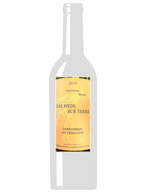 コート・デュ・ジュラ・シャルドネ・レ・トゥルイヨ2014ドメーヌ・モレル