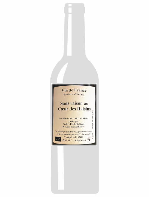 VdFサン・レゾン・オー・クール・デ・レザン・マグナム2017アンダース・フレデリック・スティーン（マグナムボトル）