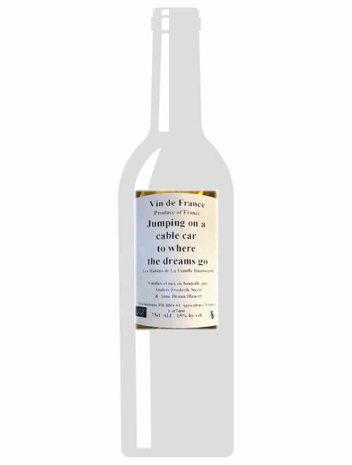 VdFジャンピング・オン・ア・ケーブル・カー・トゥー・フェアー・ザ・ドリームズ・ゴー2018アンダース・フレデリック・スティーン