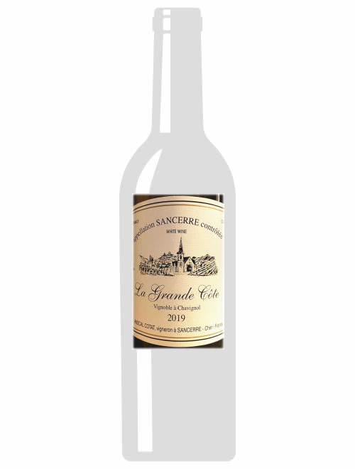 サンセール・ラ・グランド・コート2019パスカル・コタ