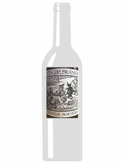 VdFブラン・レザン・スールムリ2009ジェローム・ソリニー 500ml