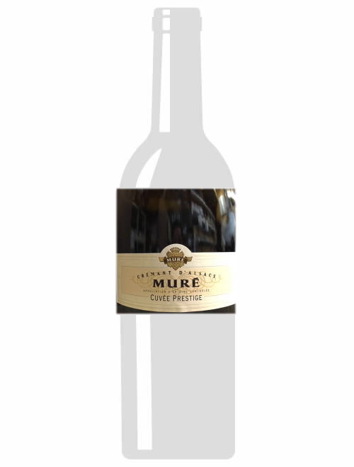 クレマン・ダルザスNVルネ・ミューレ（マグナムボトル）