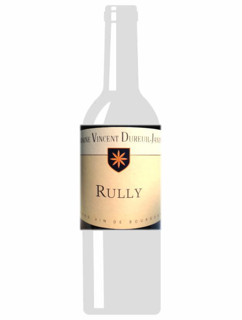 リュリー・ルージュ2012ヴァンサン・デュリュイユ・ジャンティアル