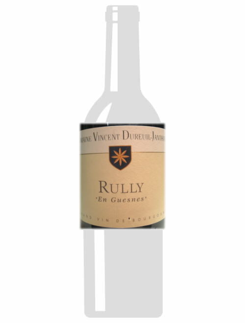 リュリー・ルージュ・アン・ゲーヌ2011ヴァンサン・デュリュイユ・ジャンティアル