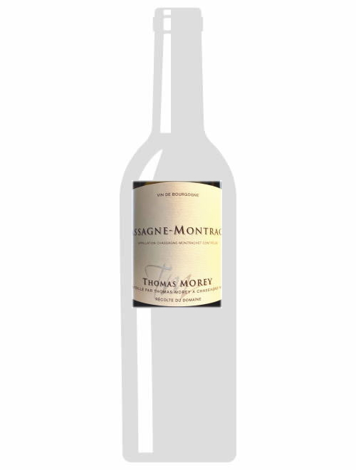 シャサーニュ・モンラッシェ2019トマ・モレ