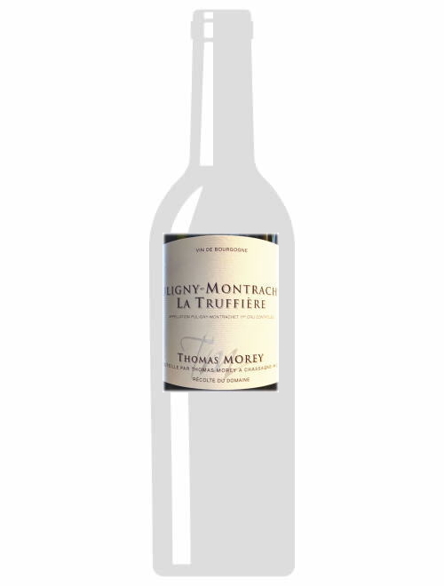 ピュリニー・モンラッシェ1erCruトリュフィエール2019トマ・モレ