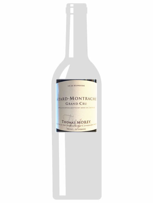 バタール・モンラッシェ2019トマ・モレ