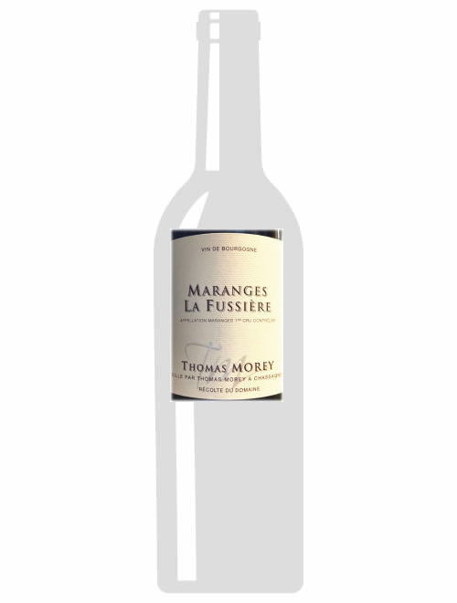 マランジェ1erCruラ・フシエール2018トマ・モレ