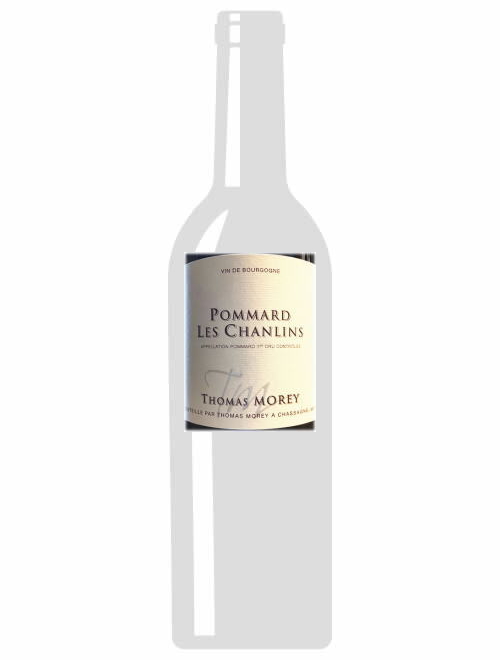 ポマール1erCruレ・シャンラン2018トマ・モレ