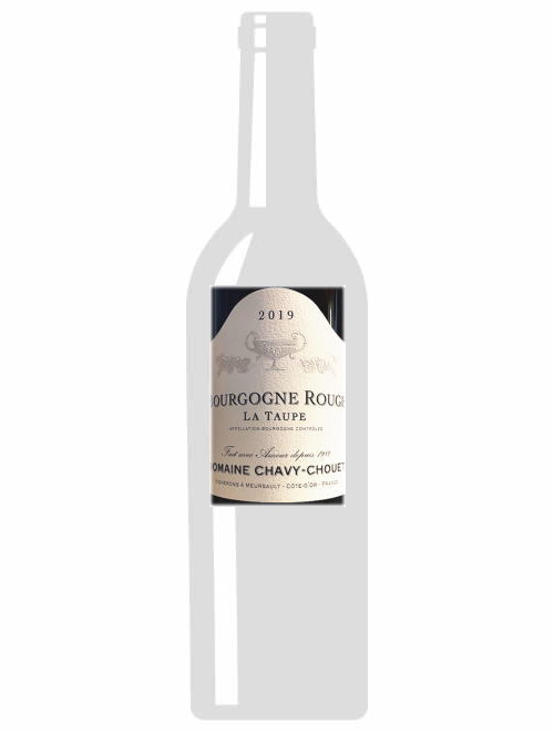 ブルゴーニュ・ルージュ2019シャヴィ・シュエ