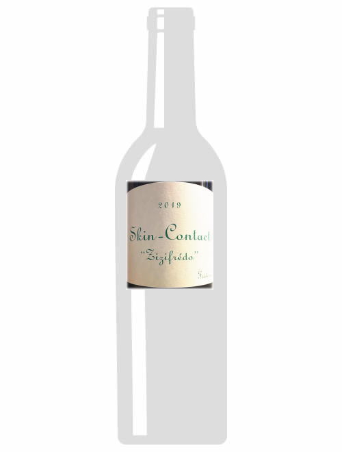 VdFスキンコンタクト・ズィズィフレッド2019フレデリック・コサール