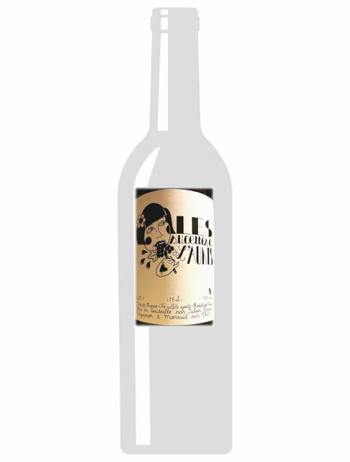 VdFルージュ・レ・シュセット・ア・ロニス2020 ジュリアン・ピノー