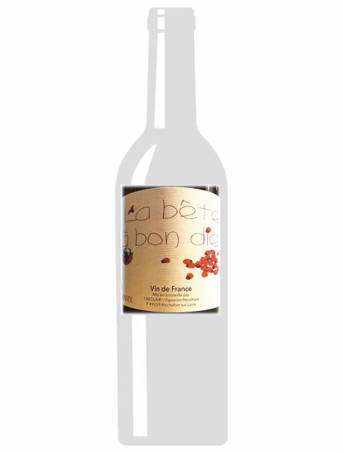 VdFルージュ・ラ・ベト・ア・ポン・デュー2020 ティエリー・ベクレール