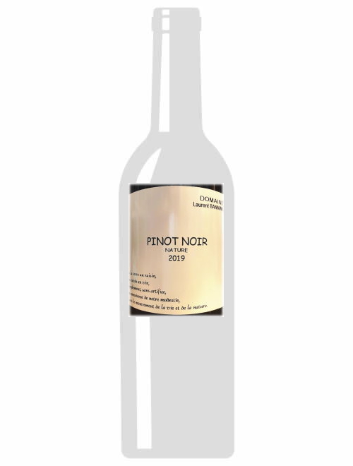 アルザス・ピノ・ノワール2019 ローラン・バーンワルト