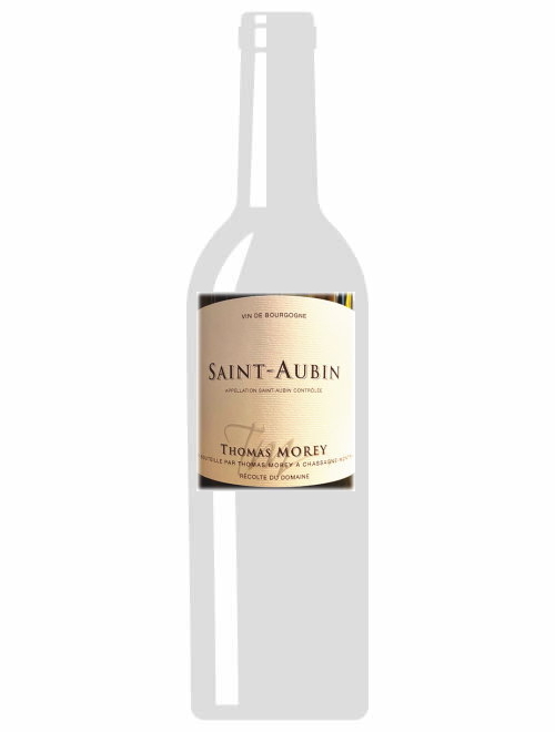 サン・トーバン・ブラン2020 トマ・モレ