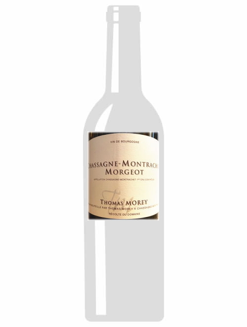 シャサーニュ・モンラッシェ1ercruモルジョ2020 トマ・モレ