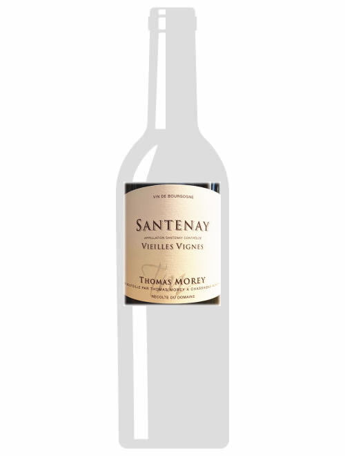 サントネイ・ルージュVV2019 トマ・モレ